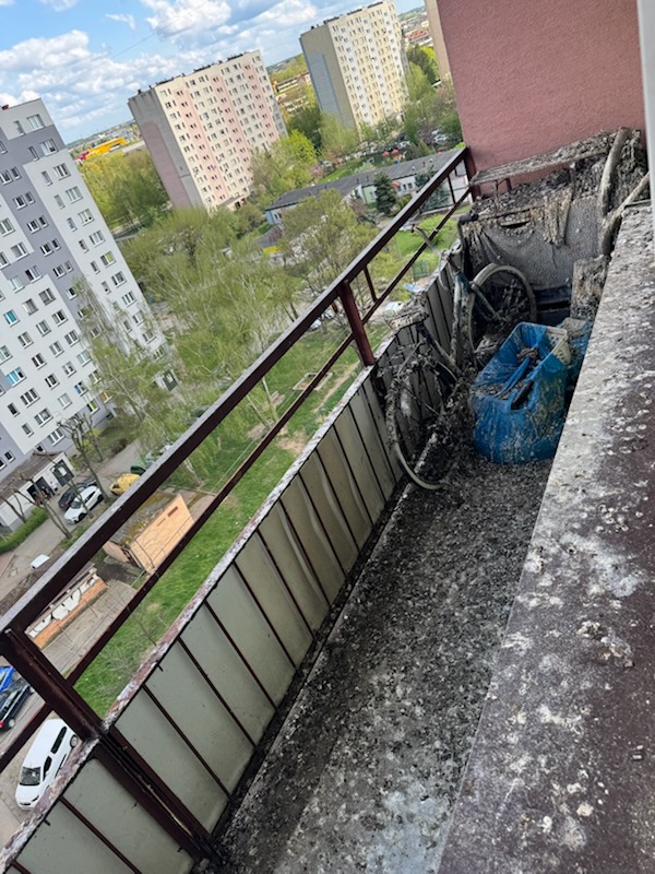 Jak posprzątać balkon po ptasich odchodach – poradnik krok po kroku