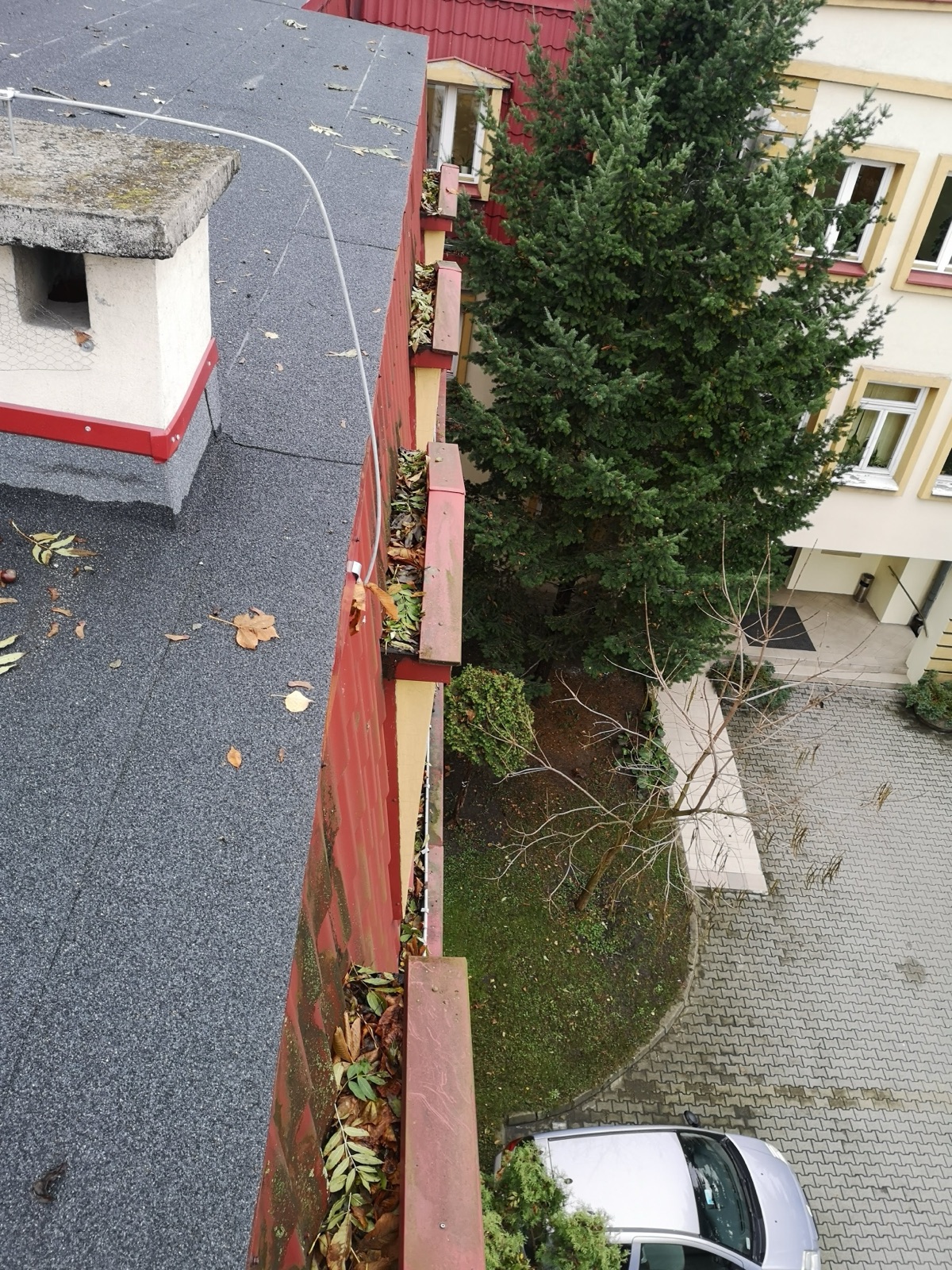 Rynna na budynku w Łodzi zapchana liśćmi i igłami z pobliskiego drzewa, widok z dachu przed czyszczeniem rynien
