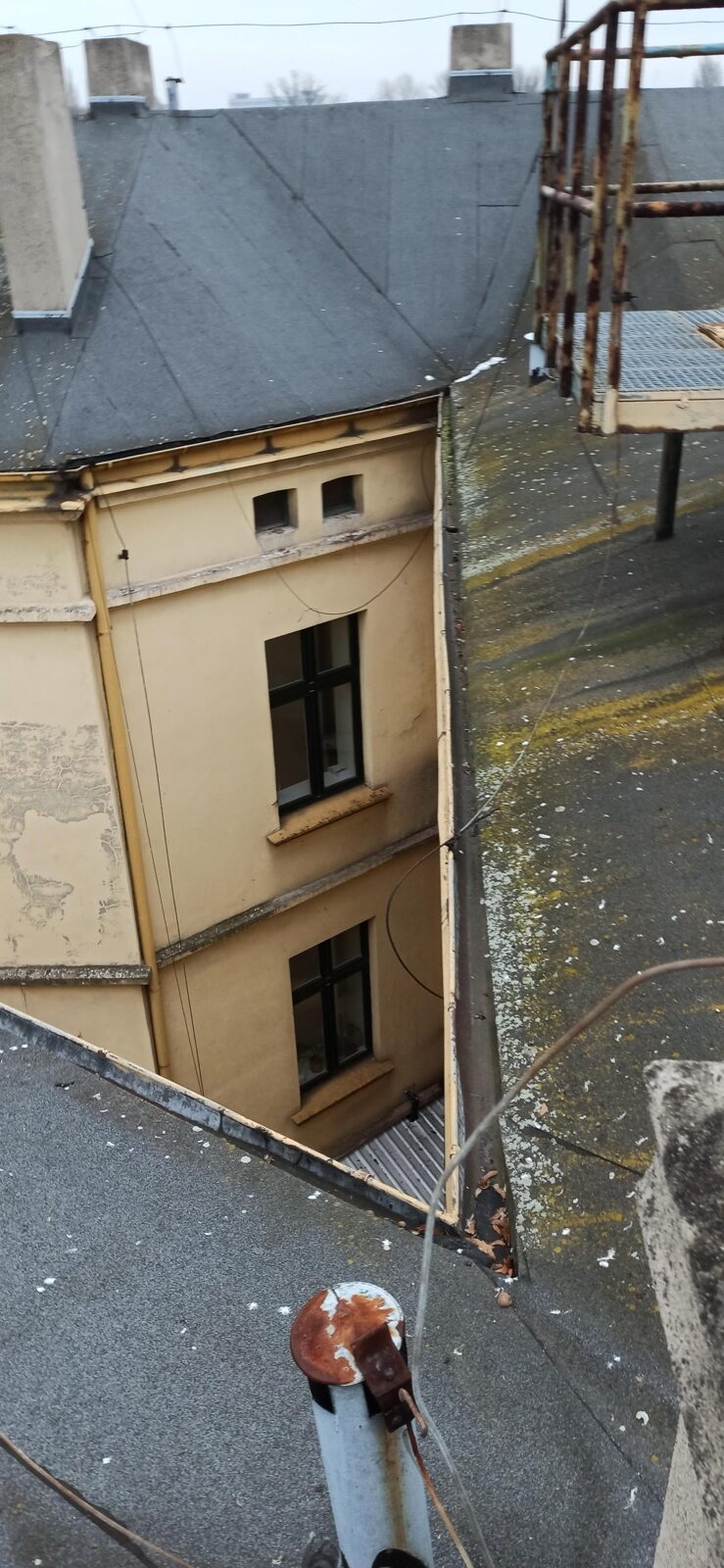 Rynna koszowa na dachu łódzkiej kamienicy zarośnięta mchem i porostami, widok z góry na podwórko